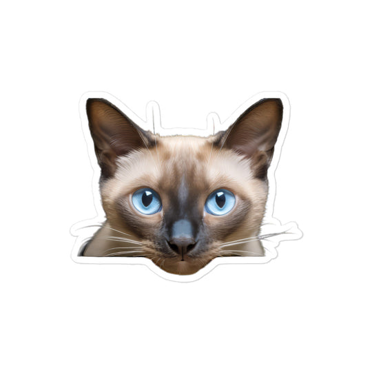 Tonkinese Sticker - Stickerfy.ai