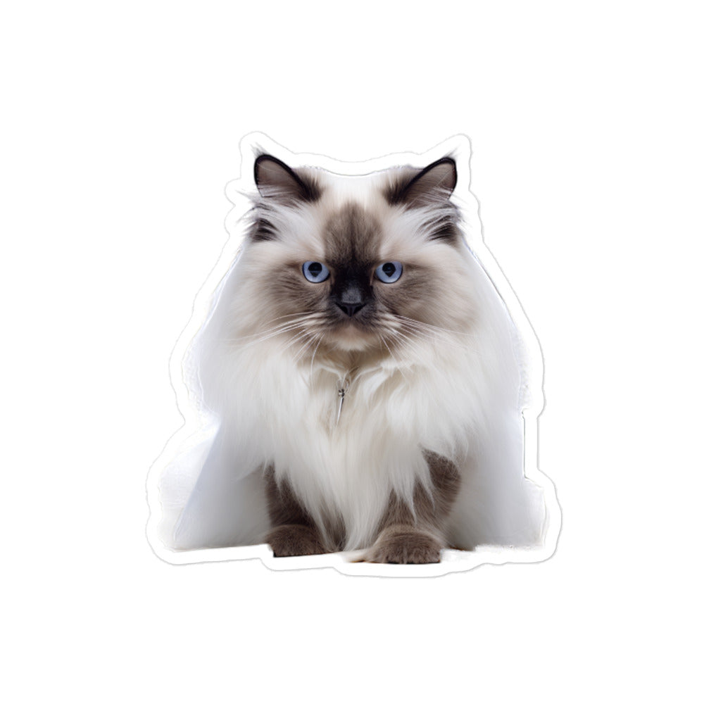 Birman Pharmacist Sticker - Stickerfy.ai