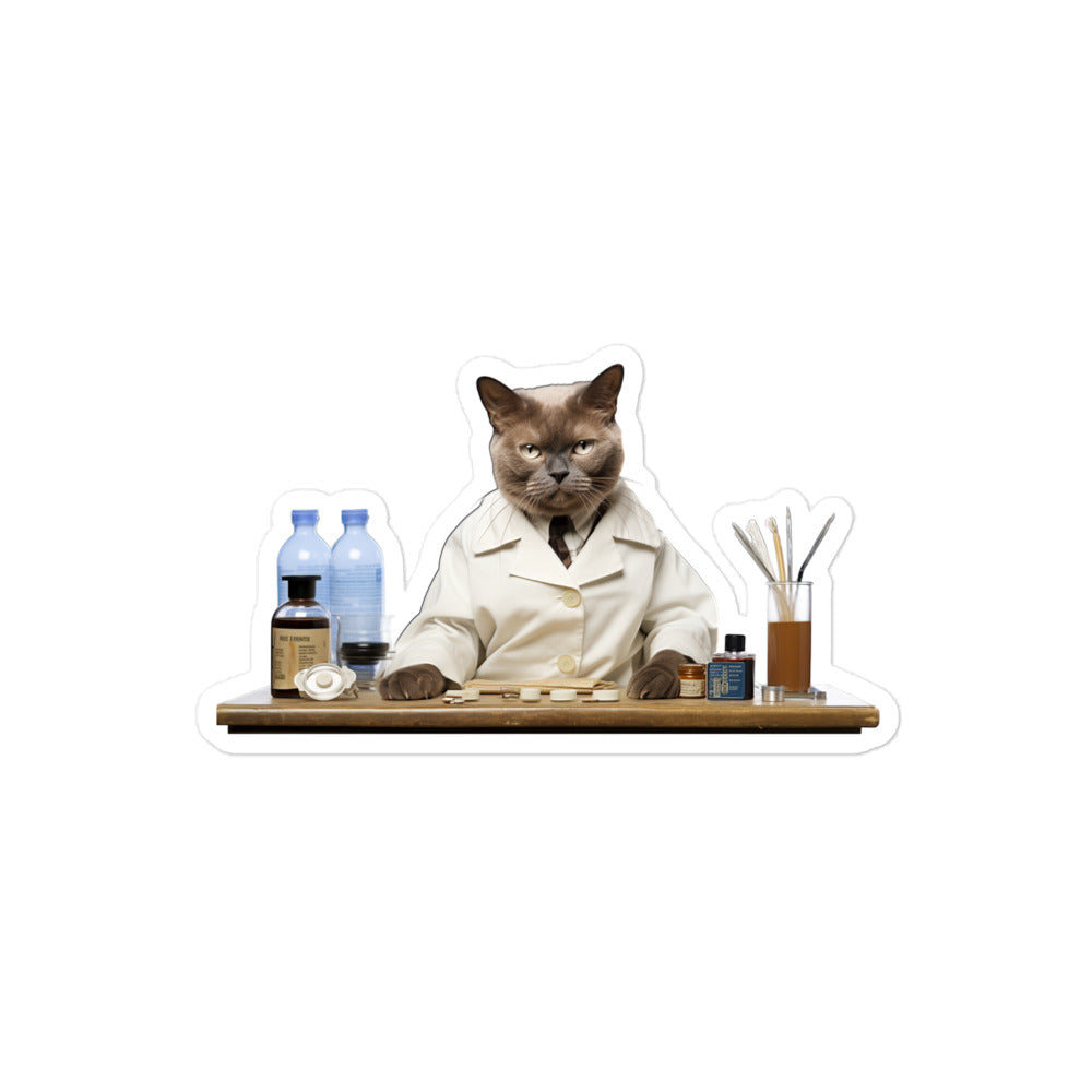 Burmese Pharmacist Sticker - Stickerfy.ai