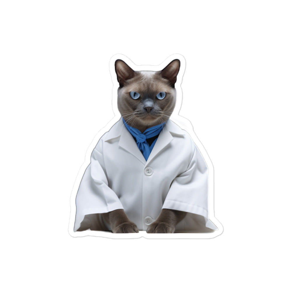 Burmese Pharmacist Sticker - Stickerfy.ai