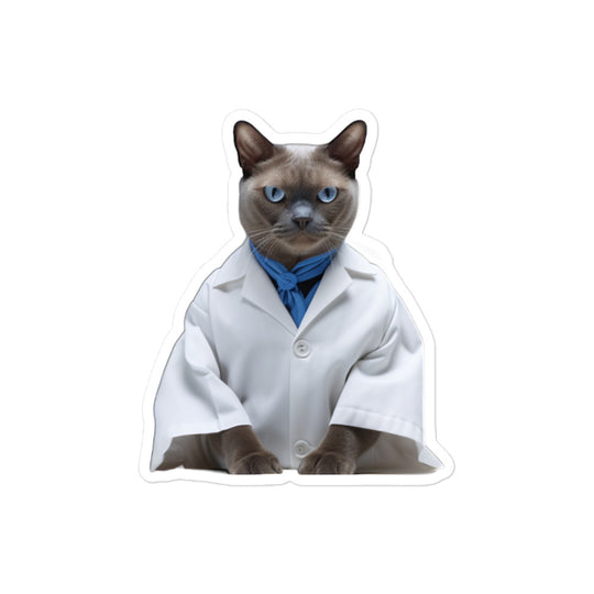 Burmese Pharmacist Sticker - Stickerfy.ai