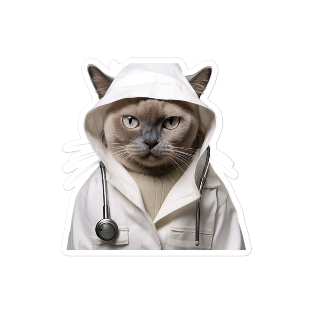 Burmese Doctor Sticker - Stickerfy.ai