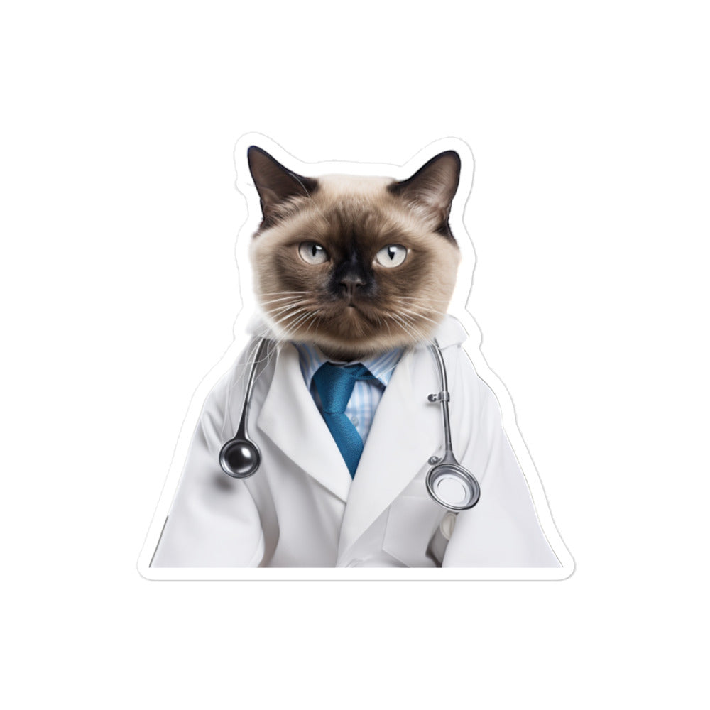 Burmese Doctor Sticker - Stickerfy.ai