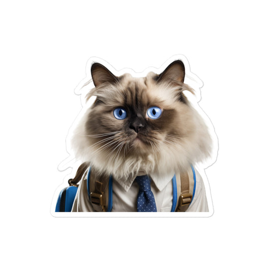 Ragdoll Student Sticker - Stickerfy.ai