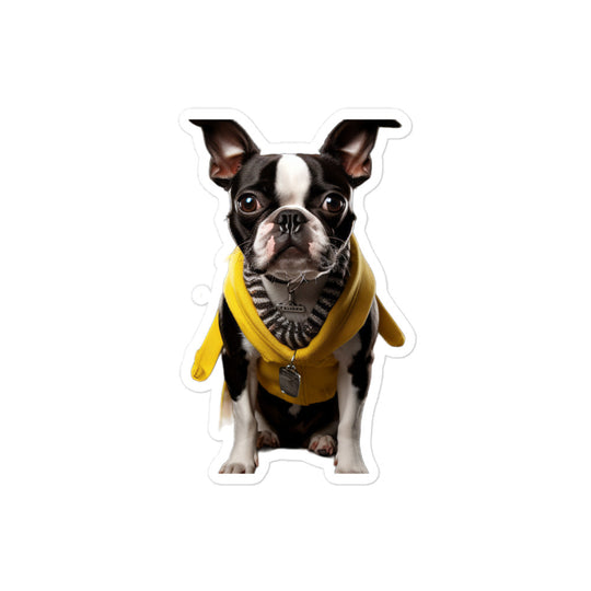 Boston Terrier Student Sticker - Stickerfy.ai