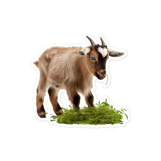 Nigerian Dwarf Goat Sticker - Stickerfy.ai