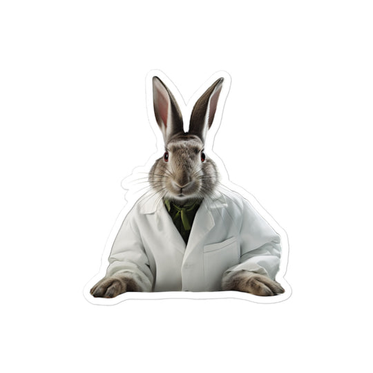 Belgian Hare Knowledgeable Pharmacist Bunny Sticker - Stickerfy.ai