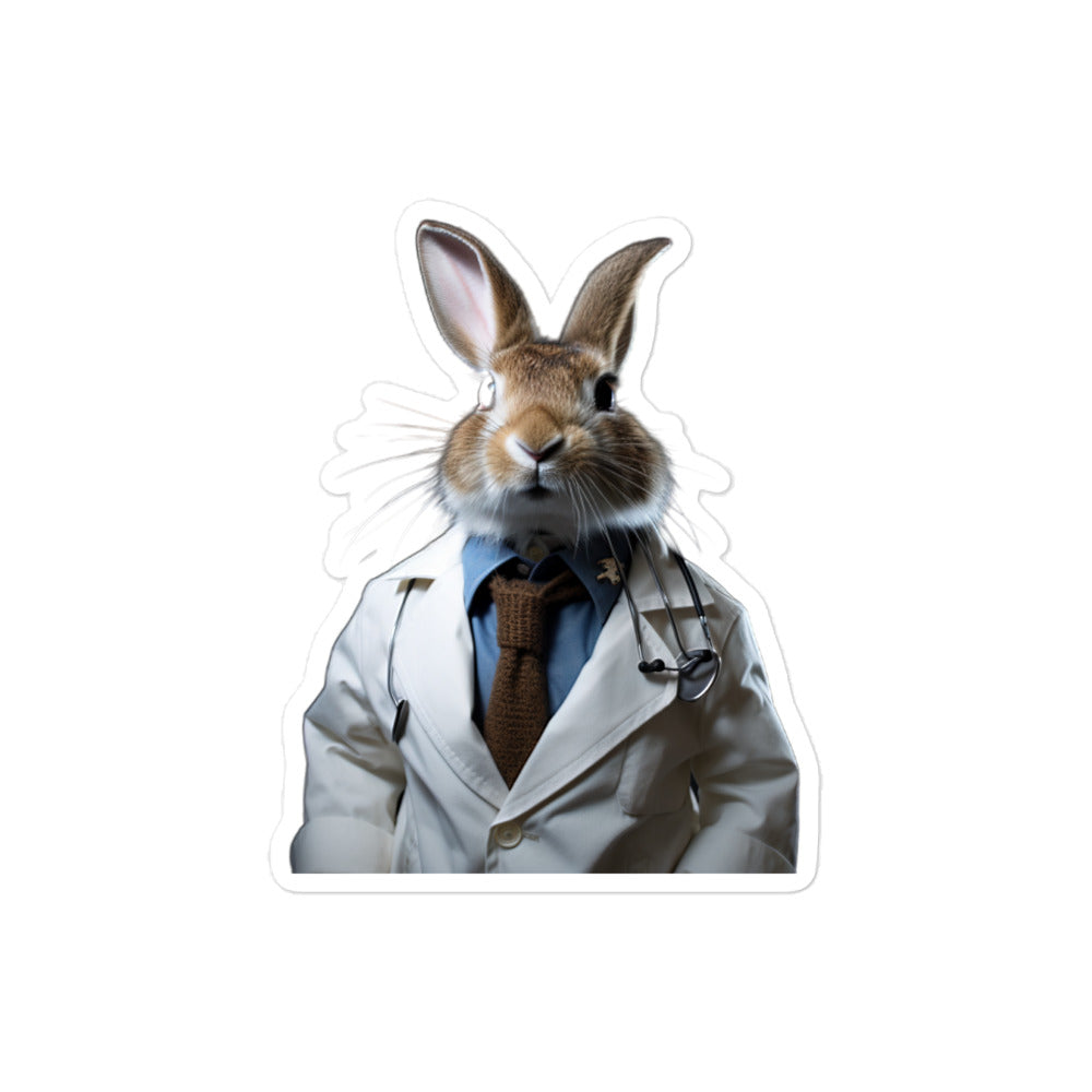 Dutch Compassionate Doctor Bunny Sticker - Stickerfy.ai