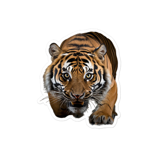 Malayan Tiger Sticker - Stickerfy.ai