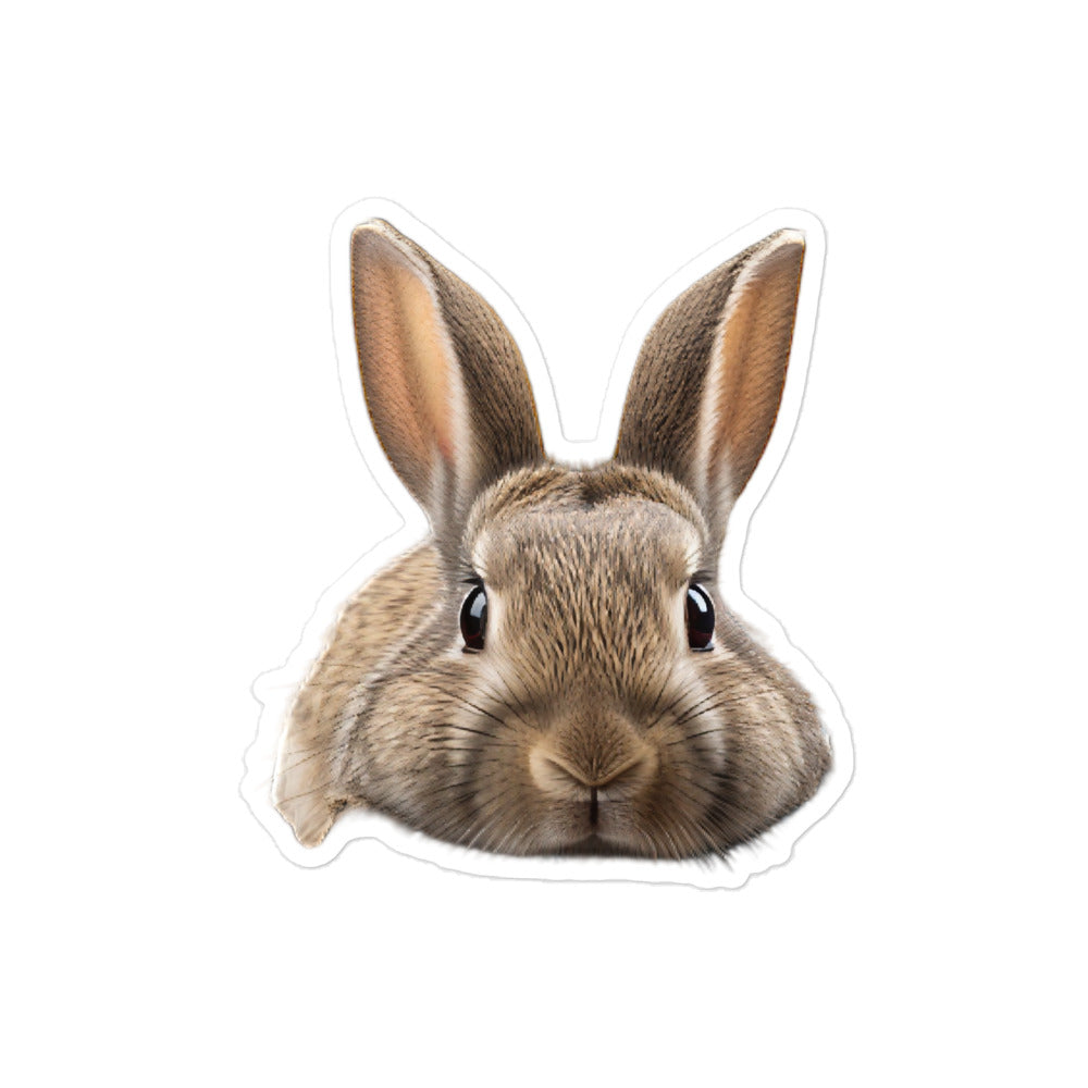 Californian Bunny Sticker - Stickerfy.ai