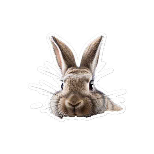 Californian Bunny Sticker - Stickerfy.ai