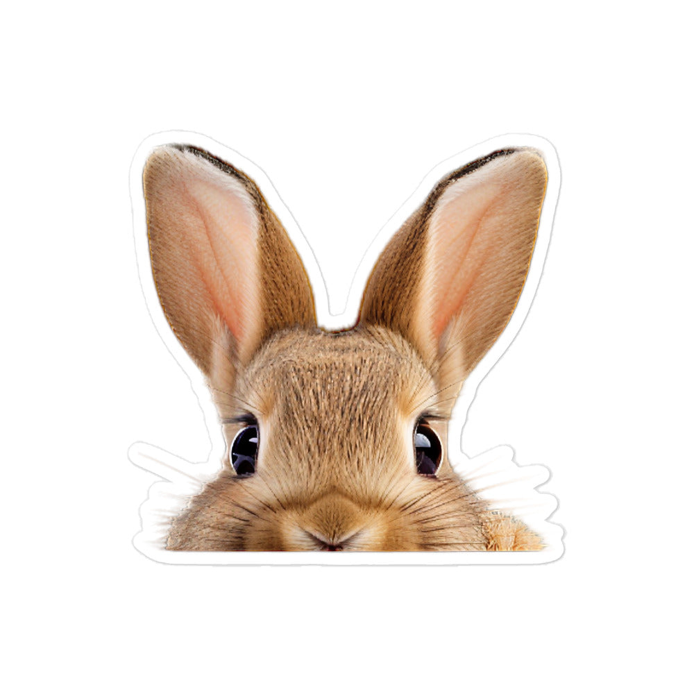 Californian Bunny Sticker - Stickerfy.ai