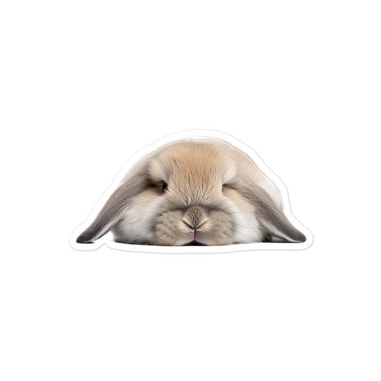 Holland Lop Bunny Sticker - Stickerfy.ai