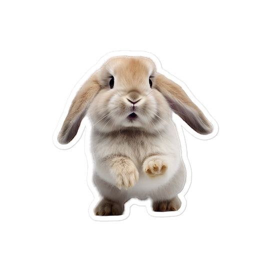 Holland Lop Bunny Sticker - Stickerfy.ai