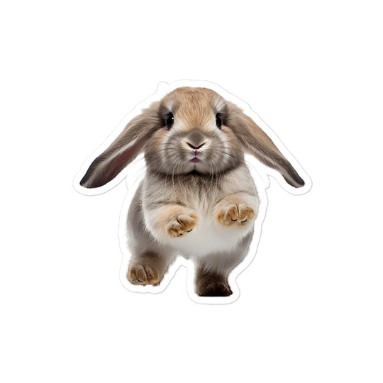 Holland Lop Bunny Sticker - Stickerfy.ai