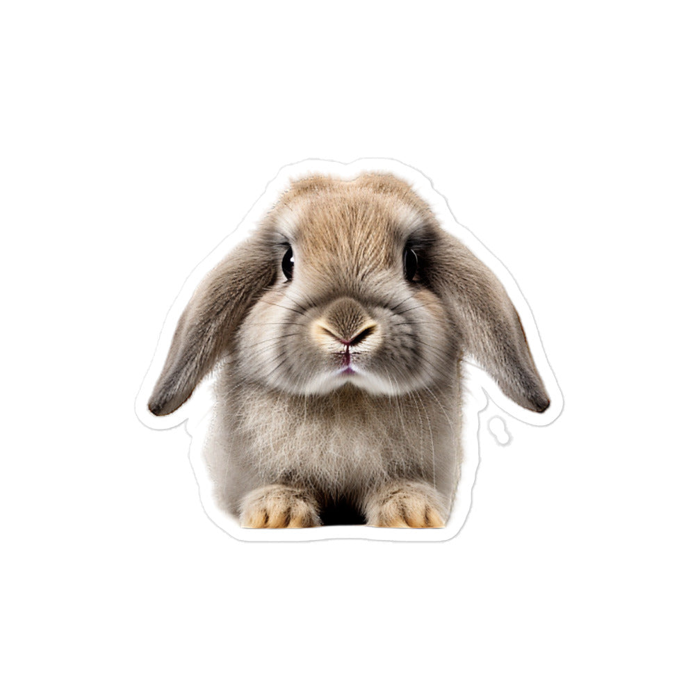 Holland Lop Bunny Sticker - Stickerfy.ai