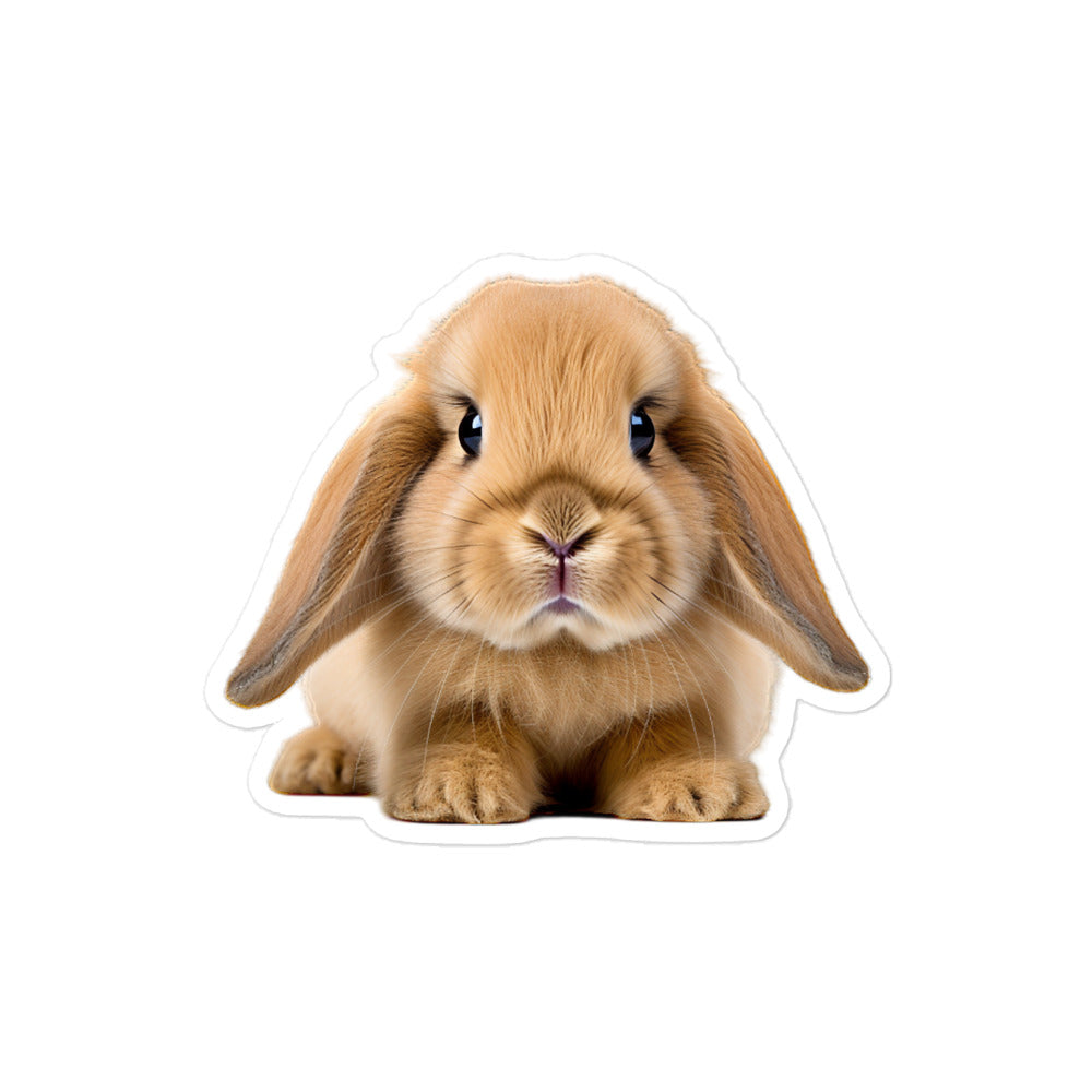 Holland Lop Bunny Sticker - Stickerfy.ai