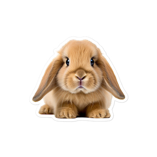Holland Lop Bunny Sticker - Stickerfy.ai