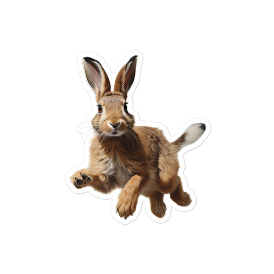 Belgian Hare Bunny Sticker - Stickerfy.ai