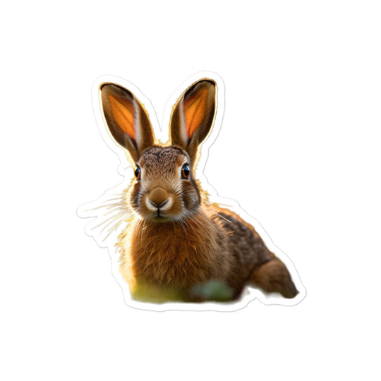 Belgian Hare Bunny Sticker - Stickerfy.ai