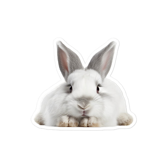 Dutch Bunny Sticker - Stickerfy.ai