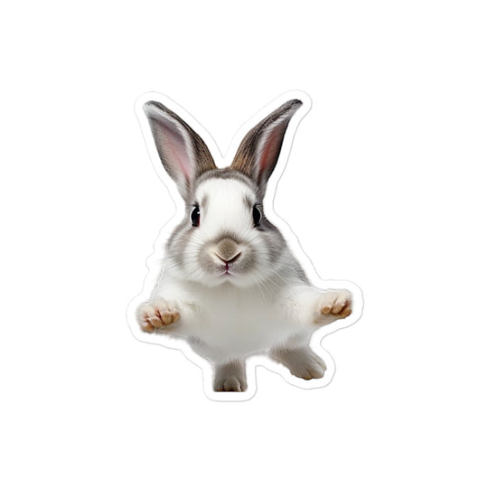 Dutch Bunny Sticker - Stickerfy.ai