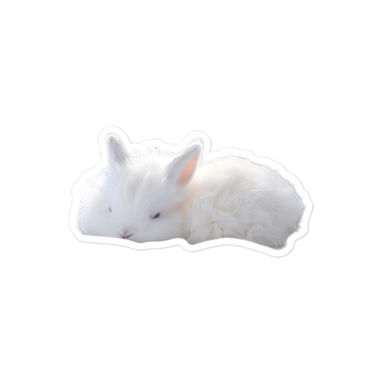 Florida White Bunny Sticker - Stickerfy.ai