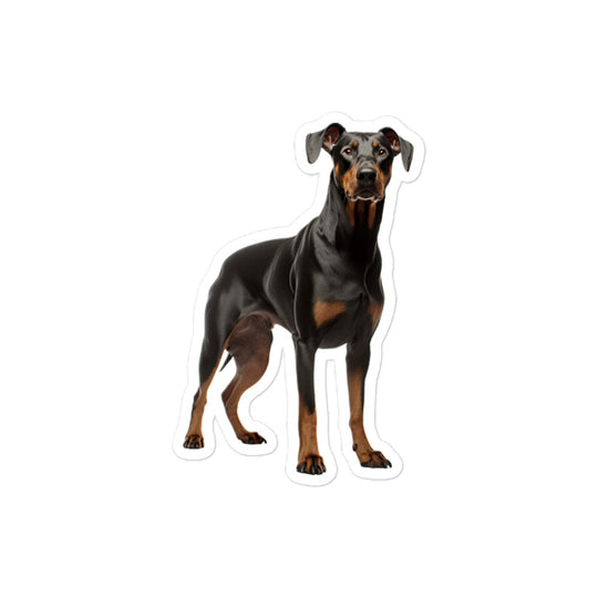 Doberman Sticker - Stickerfy.ai