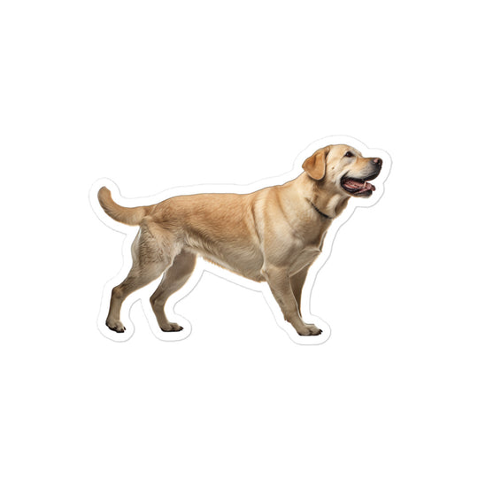 Labrador Retriever Sticker - Stickerfy.ai