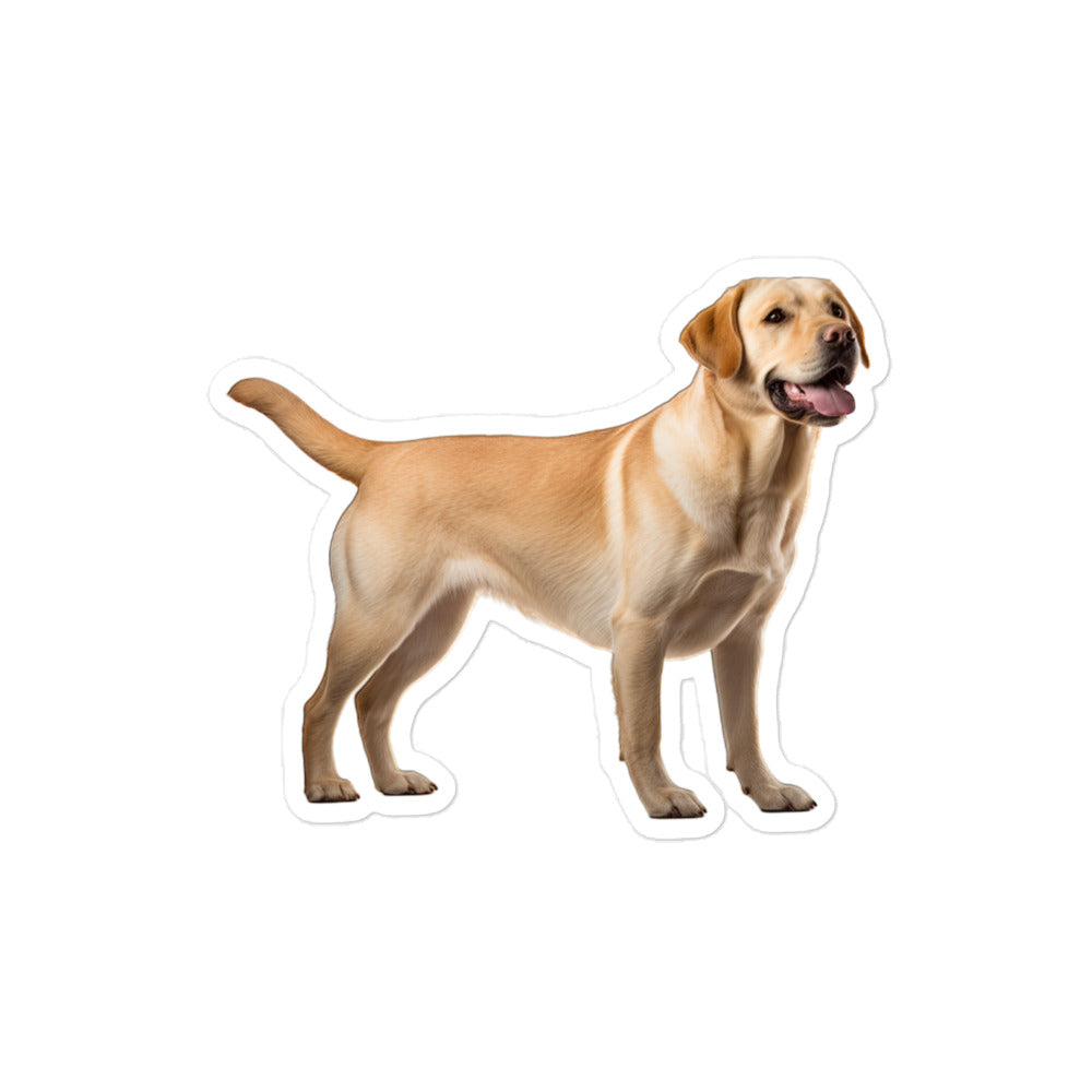 Labrador Retriever Sticker - Stickerfy.ai