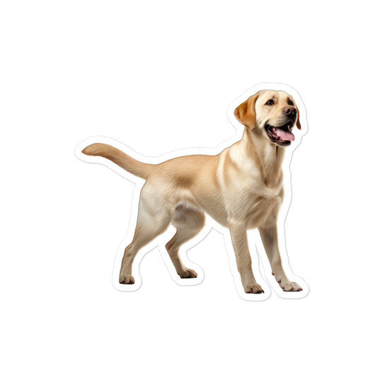 Labrador Retriever Sticker - Stickerfy.ai