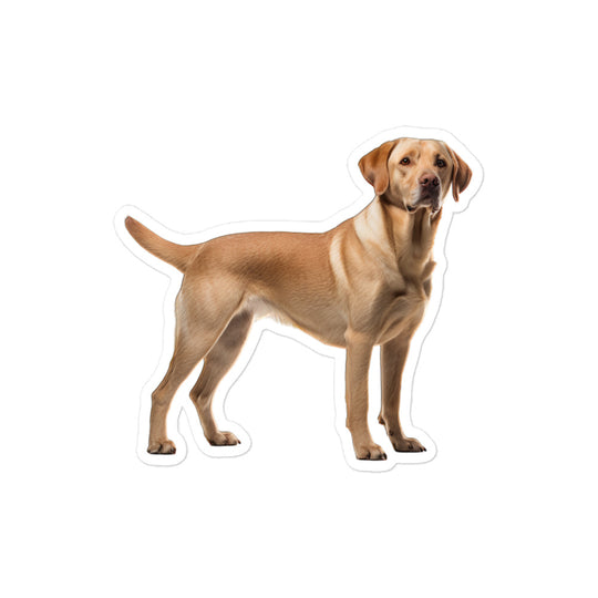 Labrador Retriever Sticker - Stickerfy.ai