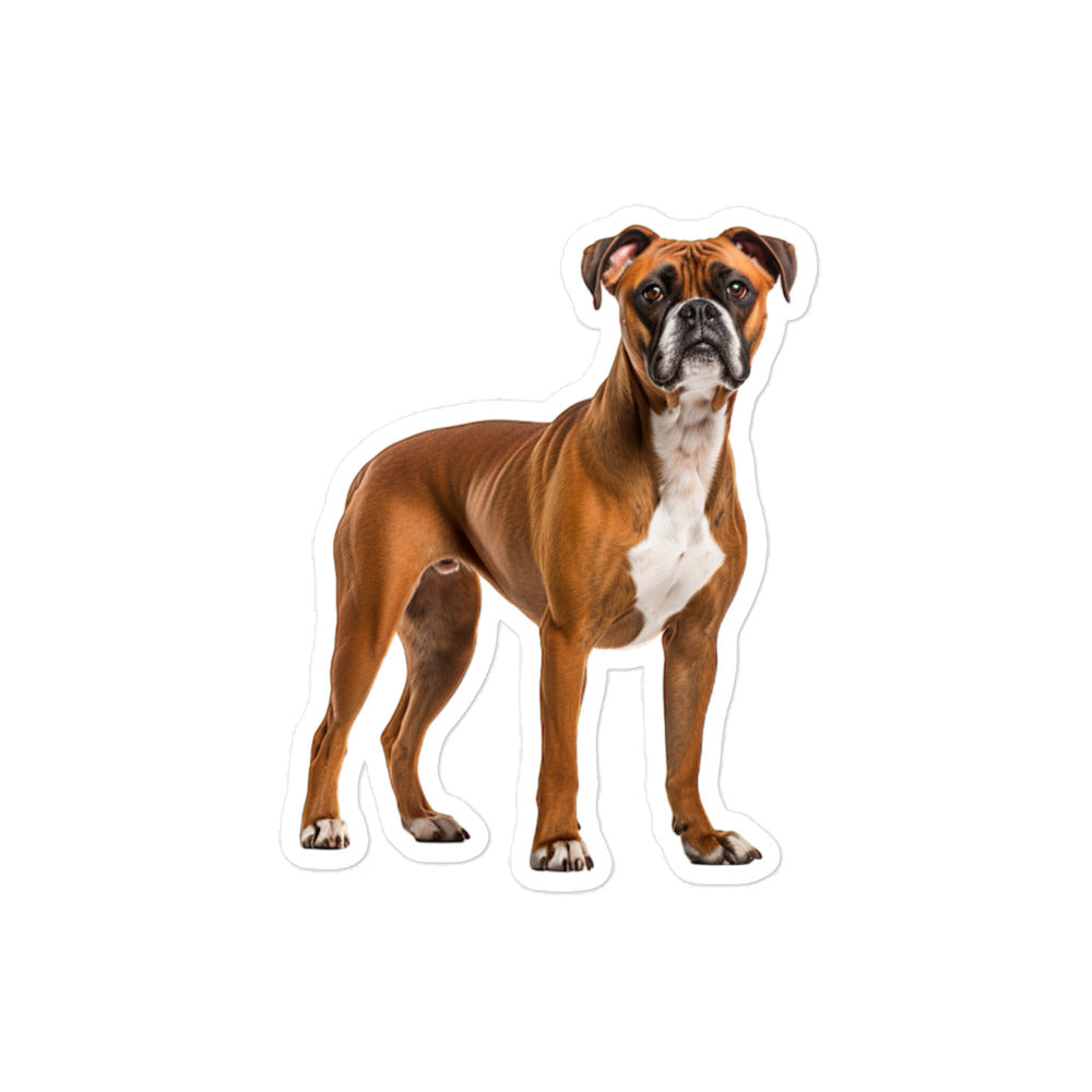 Boxer Sticker - Stickerfy.ai