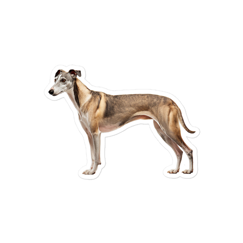 Greyhound Sticker - Stickerfy.ai