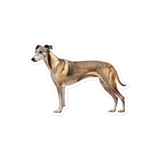 Greyhound Sticker - Stickerfy.ai