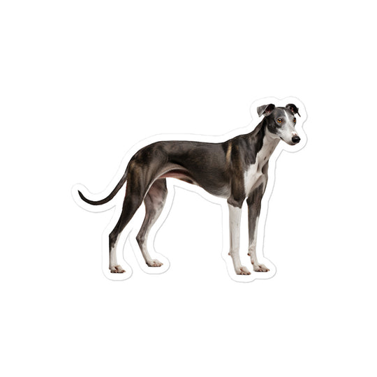 Greyhound Sticker - Stickerfy.ai