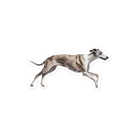 Greyhound Sticker - Stickerfy.ai