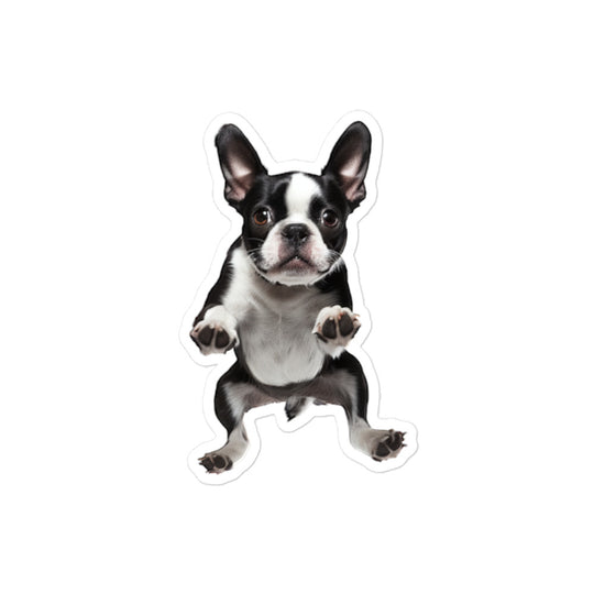 Boston Terrier Sticker - Stickerfy.ai