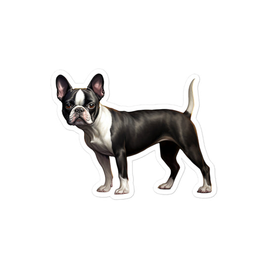 Boston Terrier Sticker - Stickerfy.ai