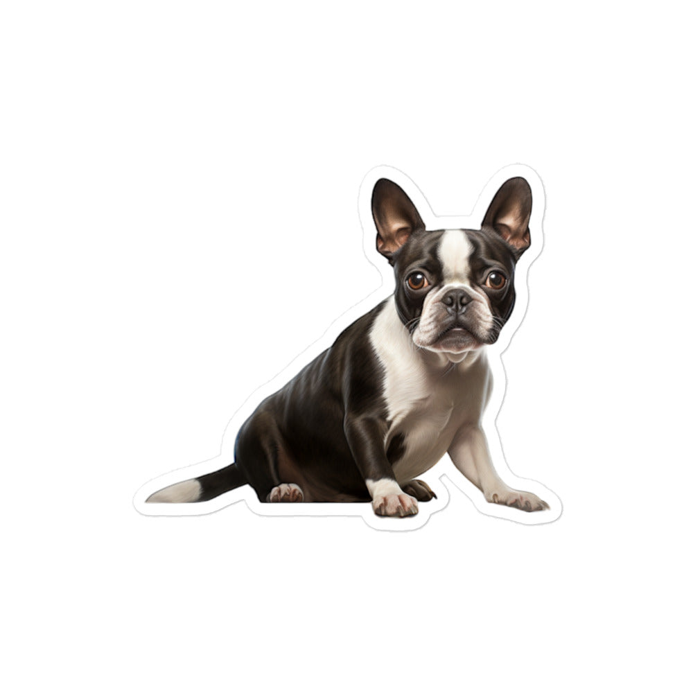 Boston Terrier Sticker - Stickerfy.ai