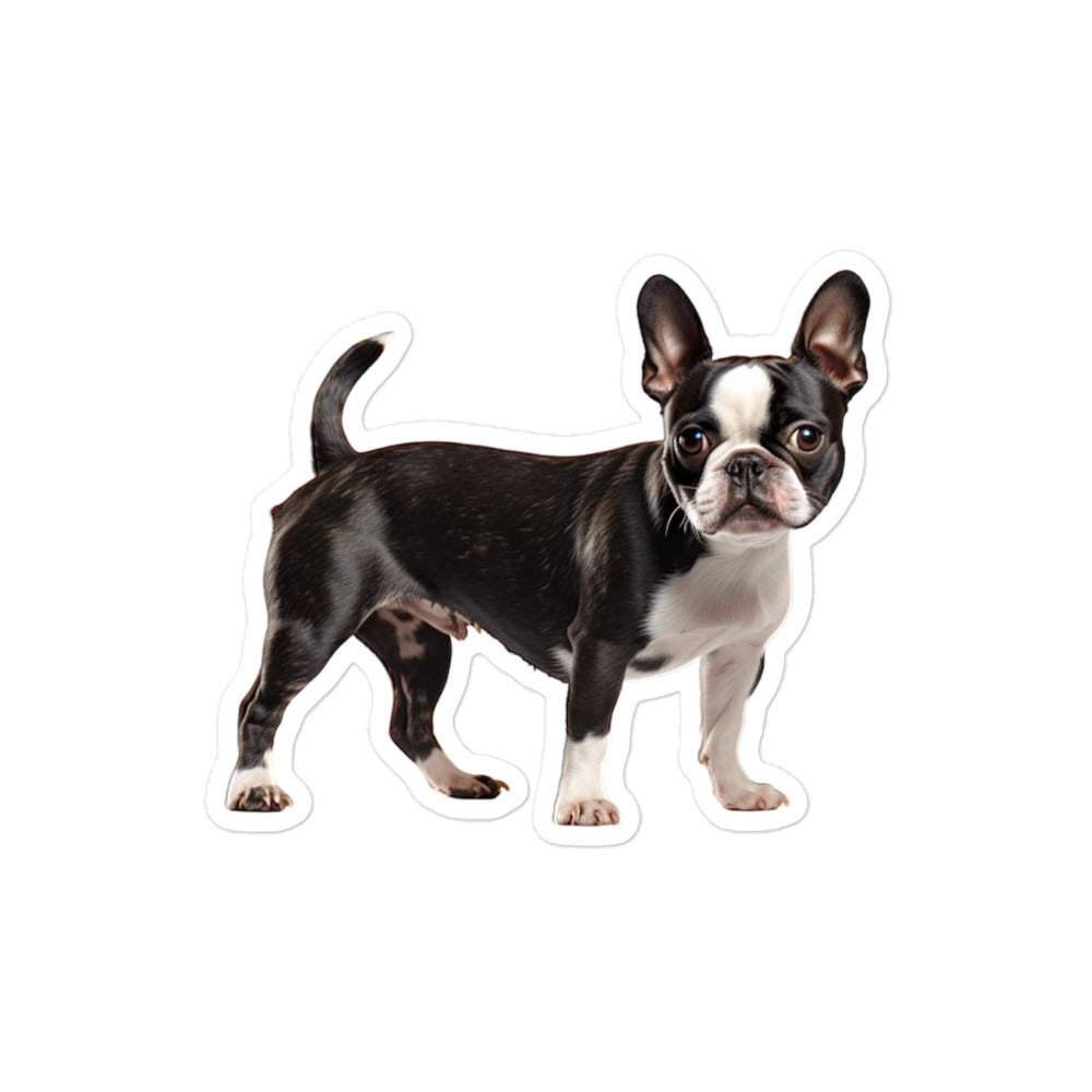 Boston Terrier Sticker - Stickerfy.ai