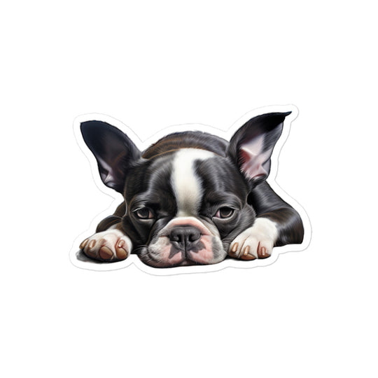 Boston Terrier Sticker - Stickerfy.ai