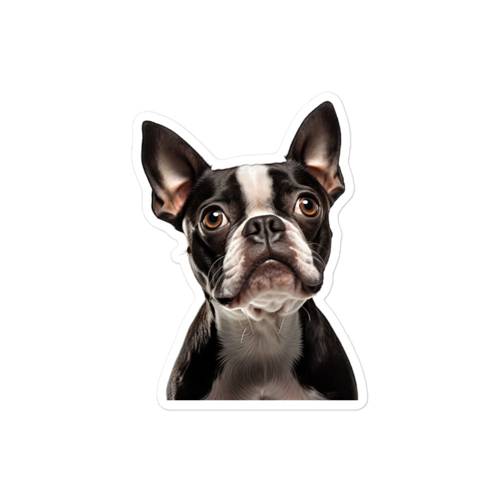 Boston Terrier Sticker - Stickerfy.ai