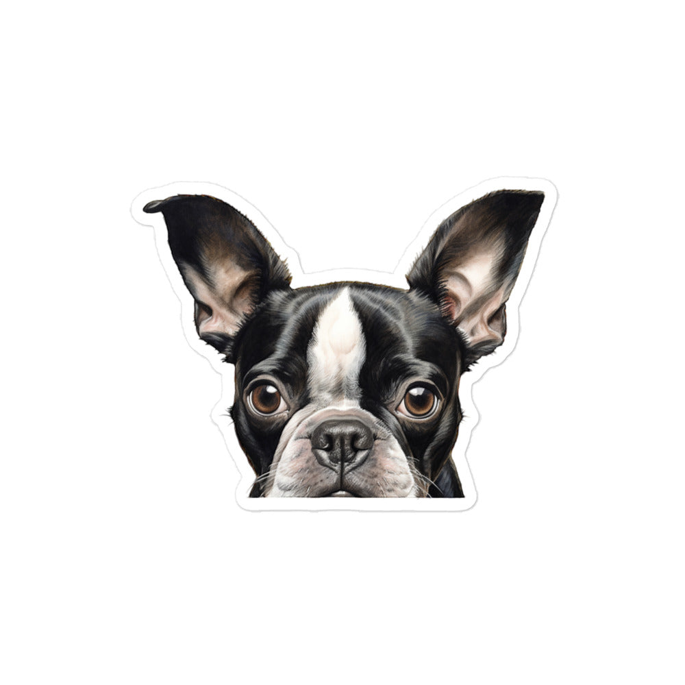 Boston Terrier Sticker - Stickerfy.ai