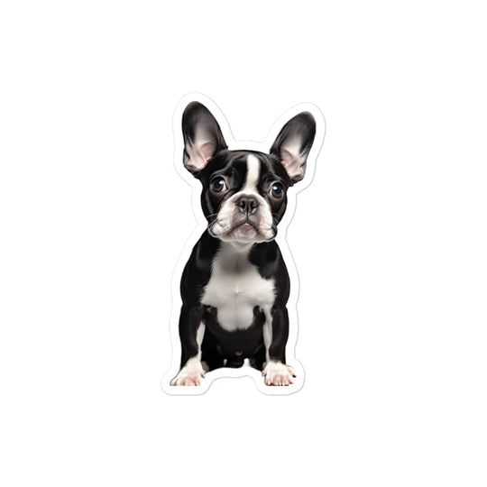 Boston Terrier Sticker - Stickerfy.ai