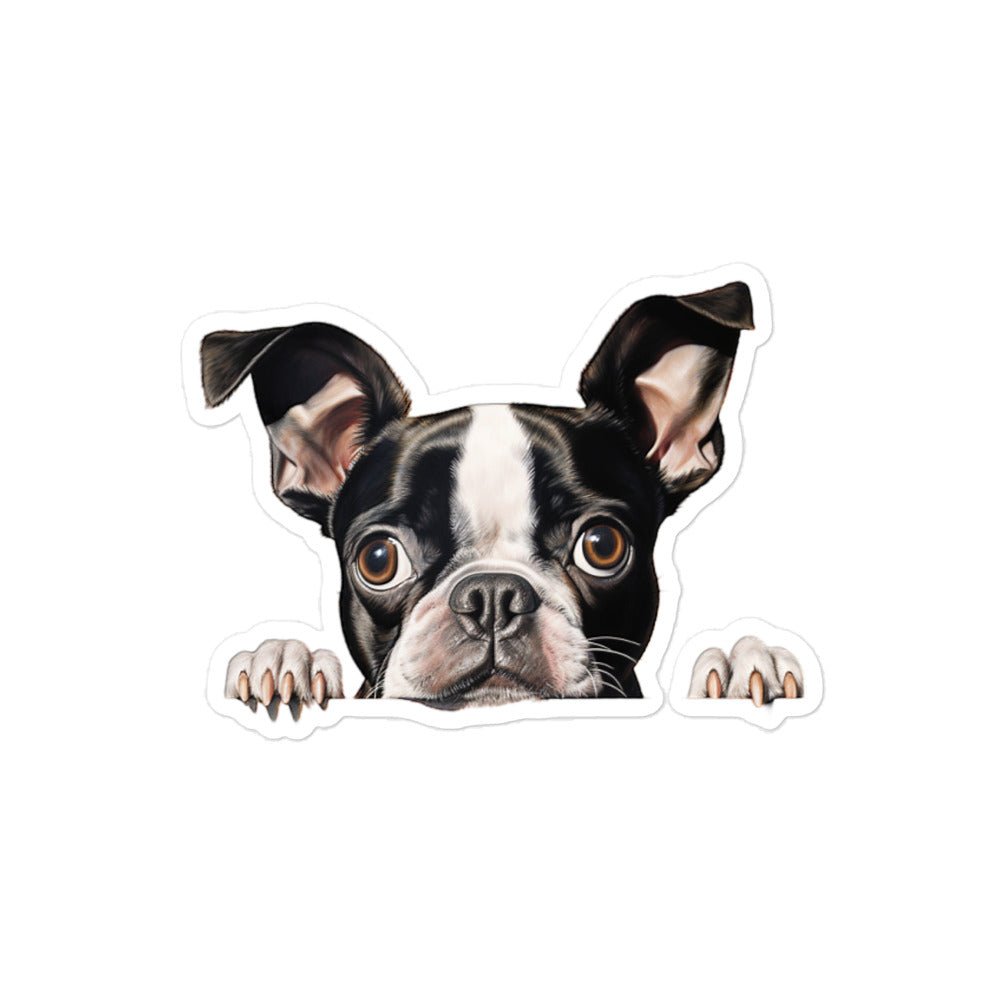 Boston Terrier Sticker - Stickerfy.ai