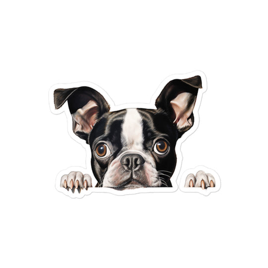 Boston Terrier Sticker - Stickerfy.ai