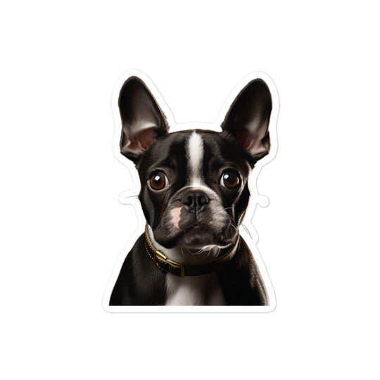Boston Terrier Sticker - Stickerfy.ai