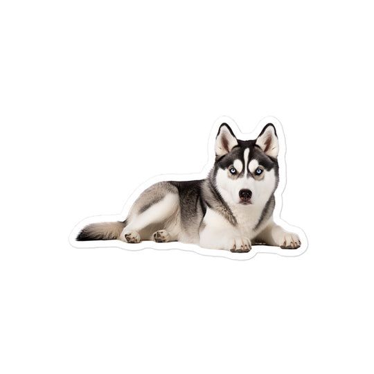 Siberian Husky Sticker - Stickerfy.ai