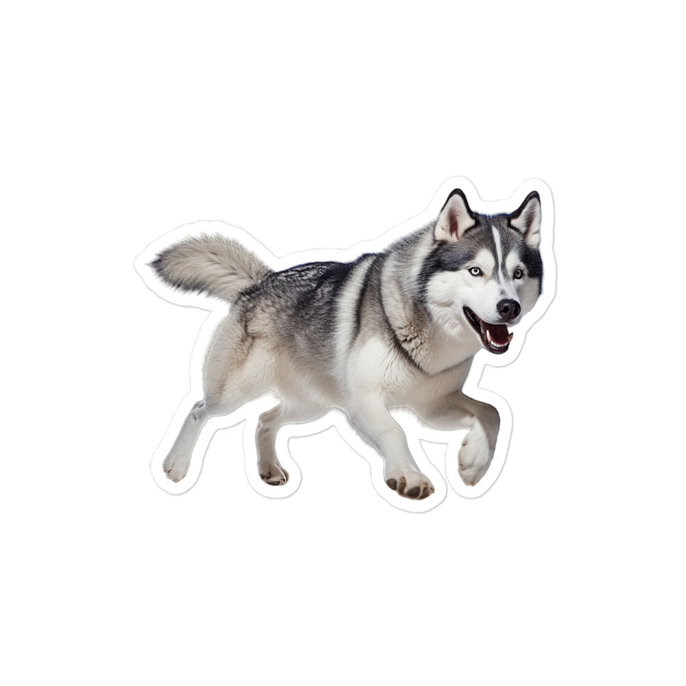 Siberian Husky Sticker - Stickerfy.ai